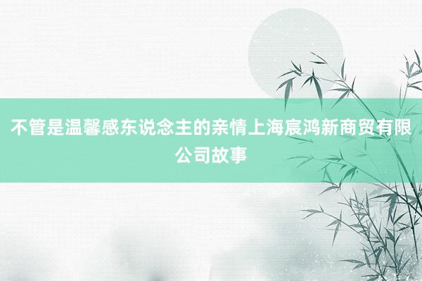 不管是温馨感东说念主的亲情上海宸鸿新商贸有限公司故事